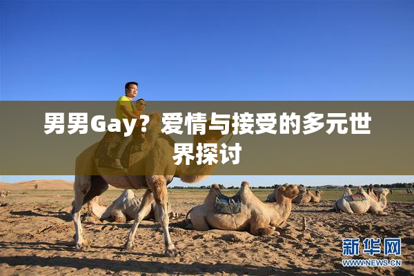 男男Gay？爱情与接受的多元世界探讨