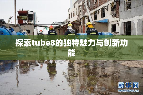 探索tube8的独特魅力与创新功能