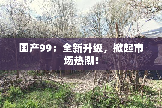 国产99：全新升级，掀起市场热潮！