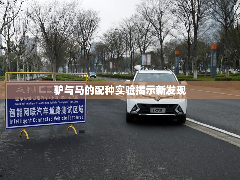 驴与马的配种实验揭示新发现