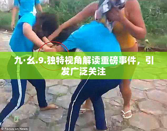 九·幺.9.独特视角解读重磅事件，引发广泛关注