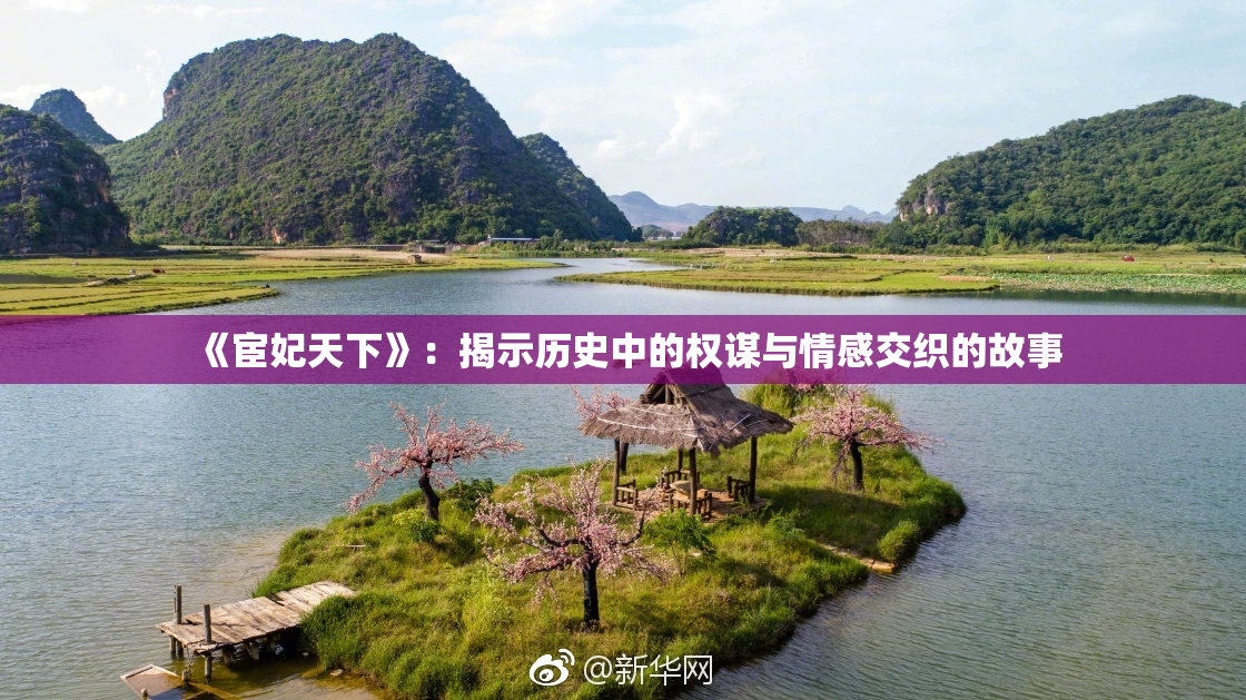 《宦妃天下》：揭示历史中的权谋与情感交织的故事