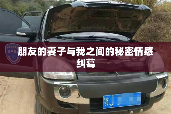 朋友的妻子与我之间的秘密情感纠葛