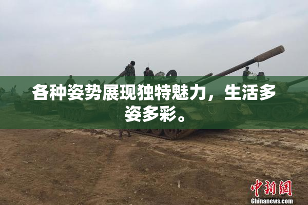 各种姿势展现独特魅力，生活多姿多彩。