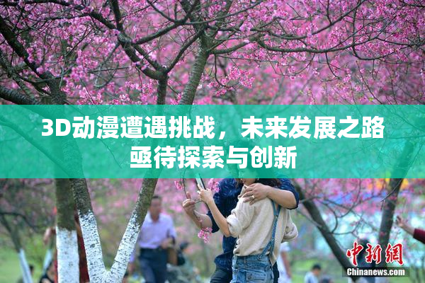 3D动漫遭遇挑战，未来发展之路亟待探索与创新