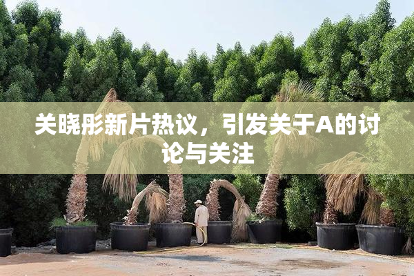 关晓彤新片热议，引发关于A的讨论与关注