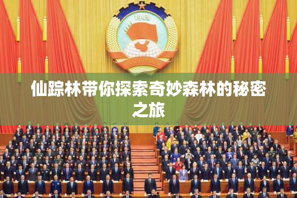 仙踪林带你探索奇妙森林的秘密之旅