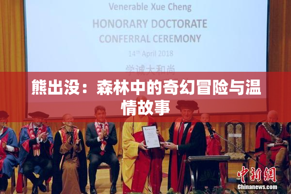 熊出没：森林中的奇幻冒险与温情故事