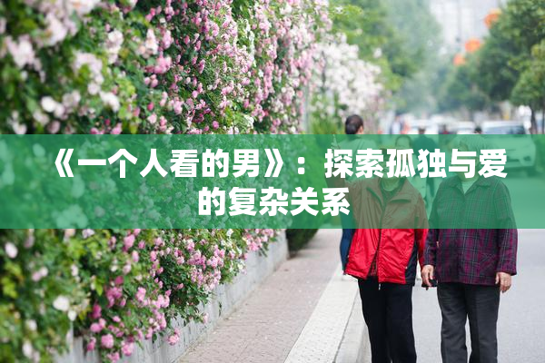 《一个人看的男》：探索孤独与爱的复杂关系