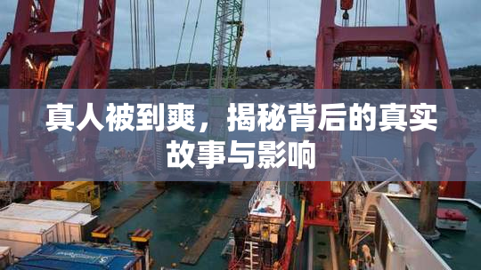 真人被到爽，揭秘背后的真实故事与影响