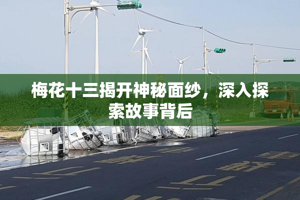 梅花十三揭开神秘面纱，深入探索故事背后