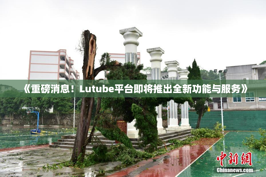 《重磅消息！Lutube平台即将推出全新功能与服务》