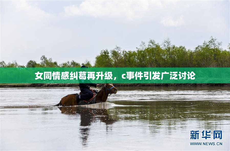 女同情感纠葛再升级，c事件引发广泛讨论