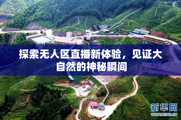 探索无人区直播新体验，见证大自然的神秘瞬间