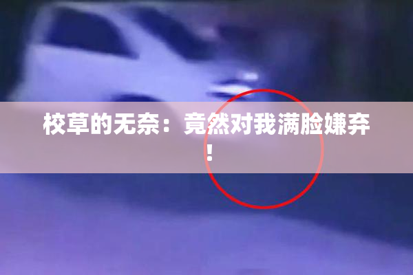 校草的无奈：竟然对我满脸嫌弃！