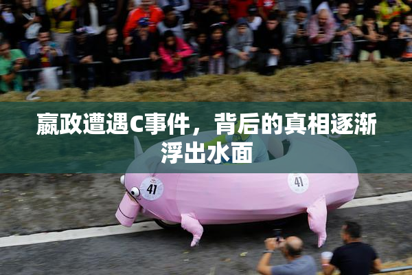 嬴政遭遇C事件，背后的真相逐渐浮出水面
