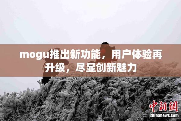mogu推出新功能，用户体验再升级，尽显创新魅力