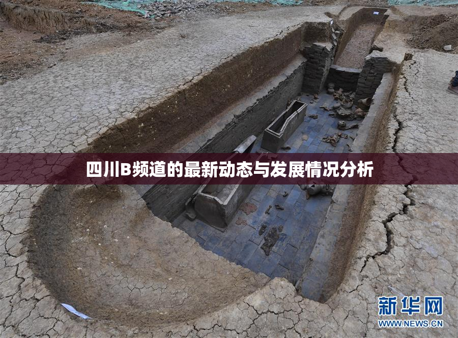 四川B频道的最新动态与发展情况分析