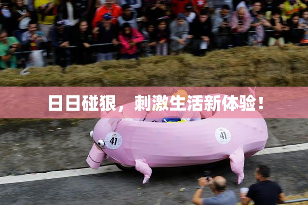 日日碰狠，刺激生活新体验！