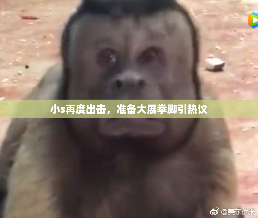 小s再度出击，准备大展拳脚引热议