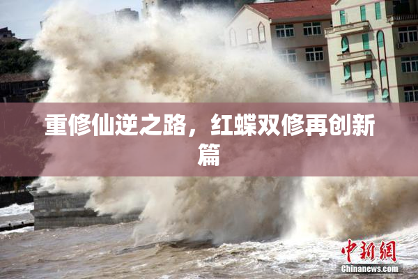 重修仙逆之路，红蝶双修再创新篇