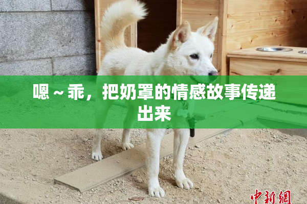 嗯～乖，把奶罩的情感故事传递出来