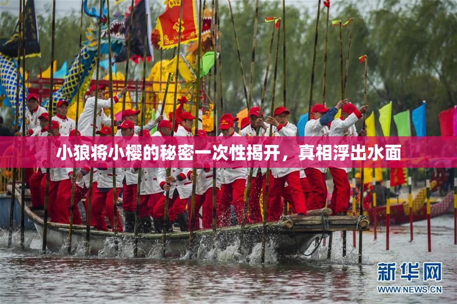 小狼将小樱的秘密一次性揭开，真相浮出水面