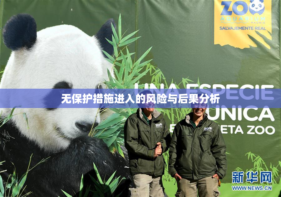 无保护措施进入的风险与后果分析