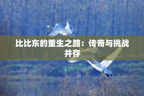 比比东的重生之路：传奇与挑战并存