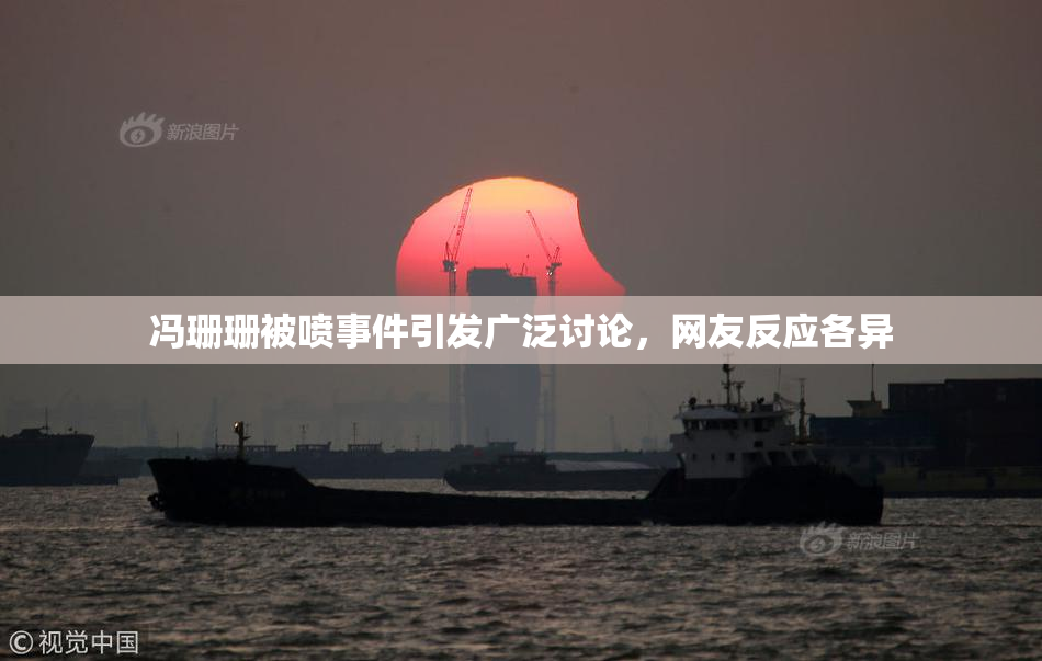 冯珊珊被喷事件引发广泛讨论，网友反应各异