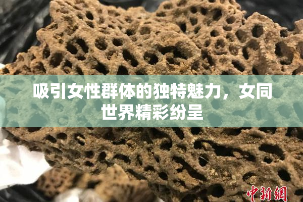 吸引女性群体的独特魅力，女同世界精彩纷呈