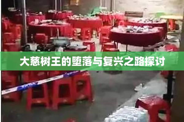 大慈树王的堕落与复兴之路探讨