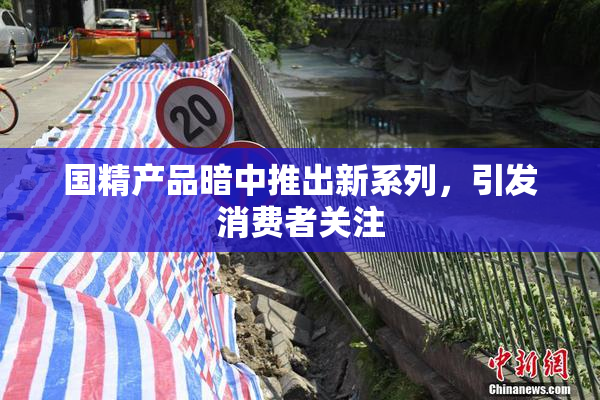 国精产品暗中推出新系列，引发消费者关注