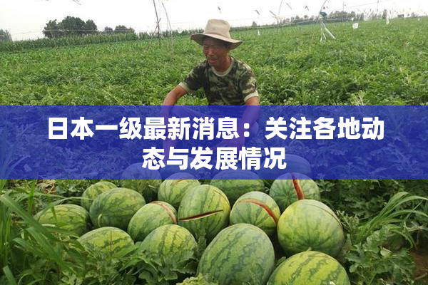 日本一级最新消息：关注各地动态与发展情况
