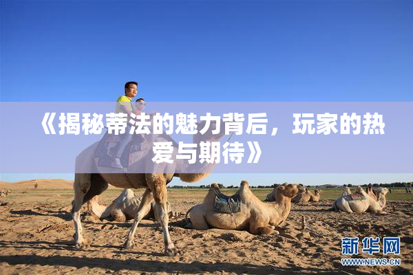 《揭秘蒂法的魅力背后，玩家的热爱与期待》
