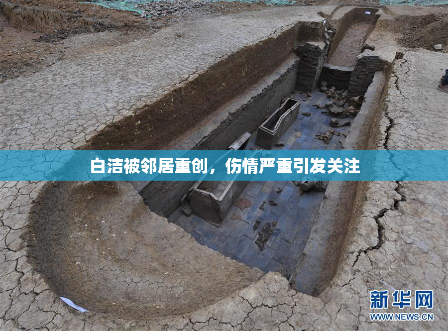 白洁被邻居重创，伤情严重引发关注