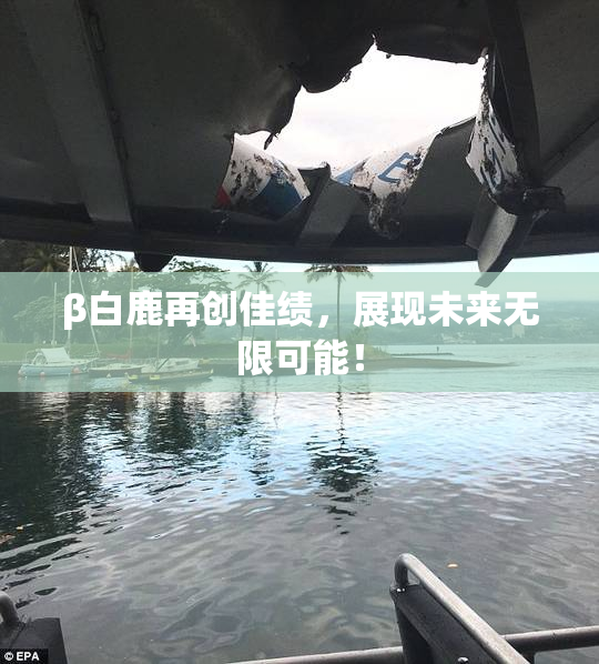 β白鹿再创佳绩，展现未来无限可能！