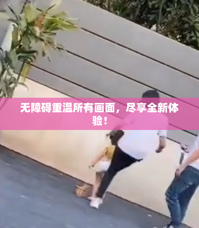 无障碍重温所有画面，尽享全新体验！
