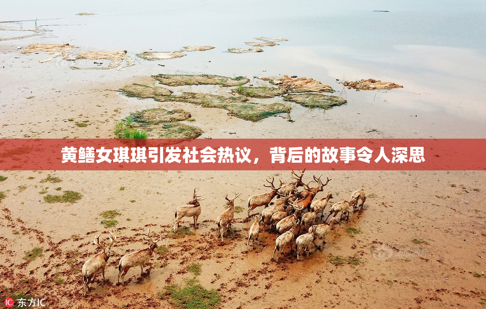 黄鳝女琪琪引发社会热议，背后的故事令人深思