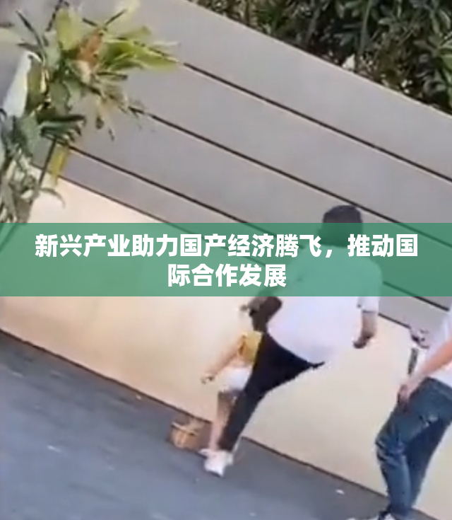 新兴产业助力国产经济腾飞，推动国际合作发展