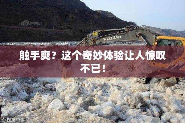 触手爽？这个奇妙体验让人惊叹不已！