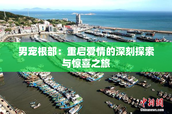 男宠根部：重启爱情的深刻探索与惊喜之旅
