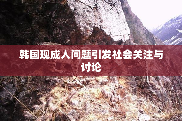 韩国现成人问题引发社会关注与讨论