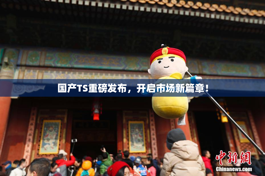 国产TS重磅发布，开启市场新篇章！