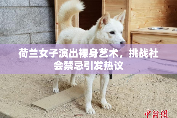 荷兰女子演出裸身艺术，挑战社会禁忌引发热议