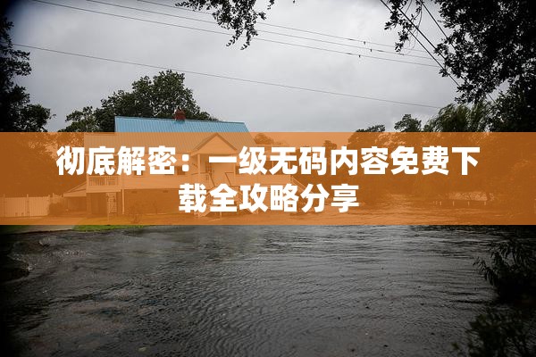 彻底解密：一级无码内容免费下载全攻略分享
