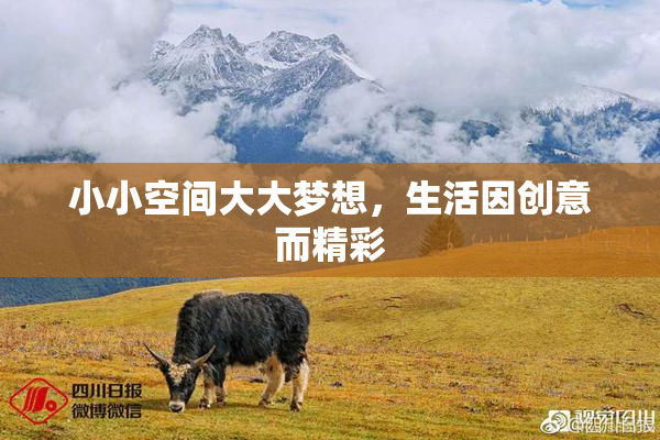 小小空间大大梦想，生活因创意而精彩