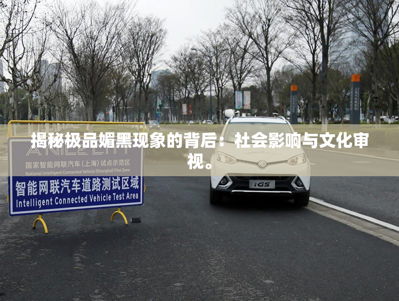 揭秘极品媚黑现象的背后：社会影响与文化审视。