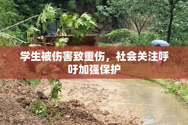 学生被伤害致重伤，社会关注呼吁加强保护