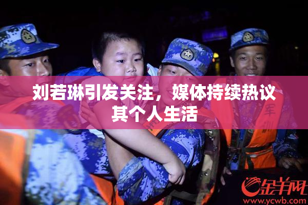 刘若琳引发关注，媒体持续热议其个人生活